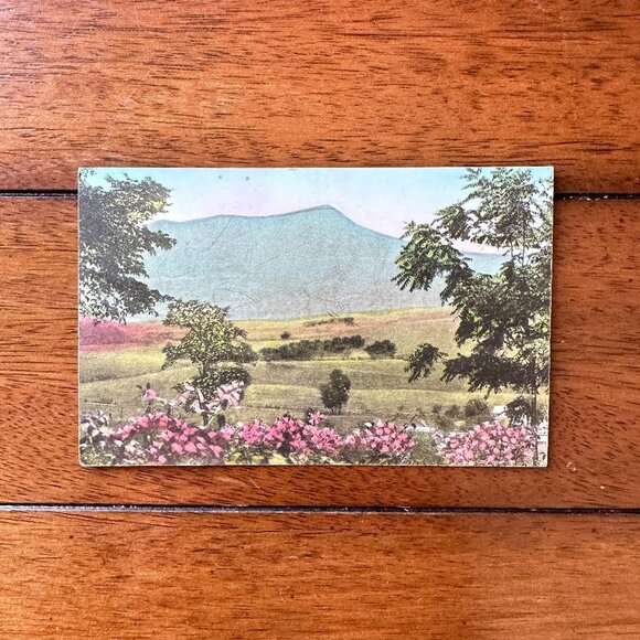 Massanutten Springs Station Harrisonburg Virginia Postcard - Picture 6 of 14